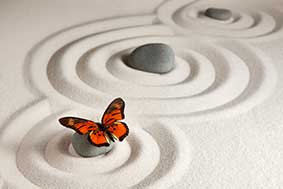 wingwave-Schmetterling